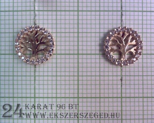 Fülbevaló-stekkeres_1_794_22686.jpg