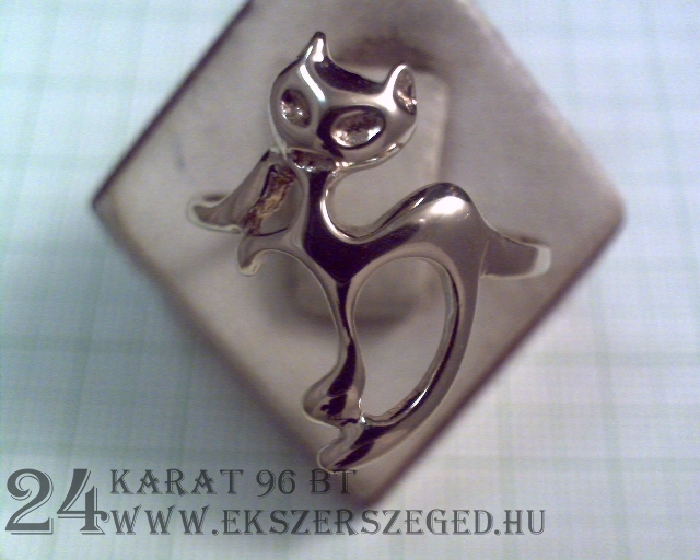 Gyűrű_1_2708_22274.jpg