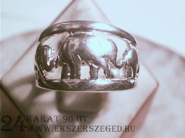 Gyűrű_1_6785_2898.jpg