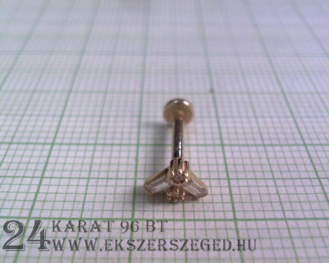 Piercing_1_3011_22448.jpg