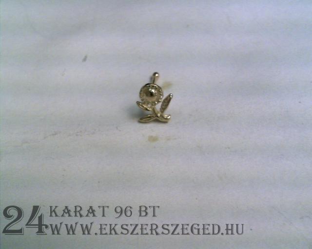 Piercing_1_4019_12273.jpg